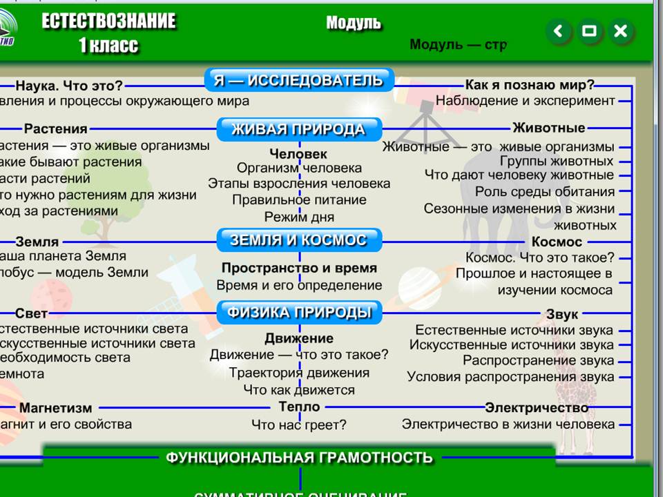 Естествознание 1 класс — изображение 2