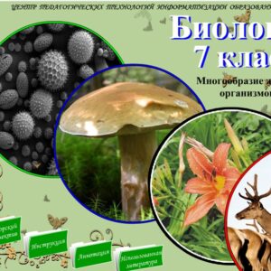 Биология 7 класс