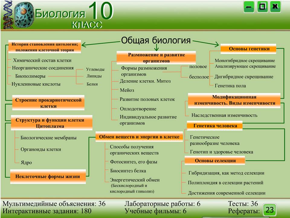 Биология 10 класс — изображение 2