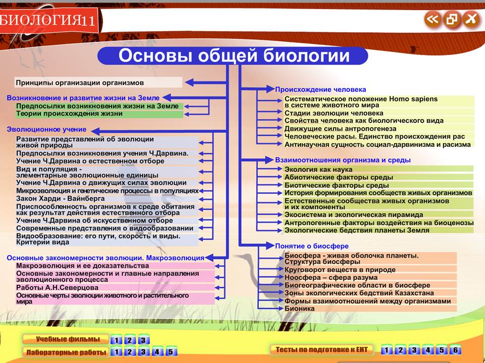 Биология 11 класс — изображение 2