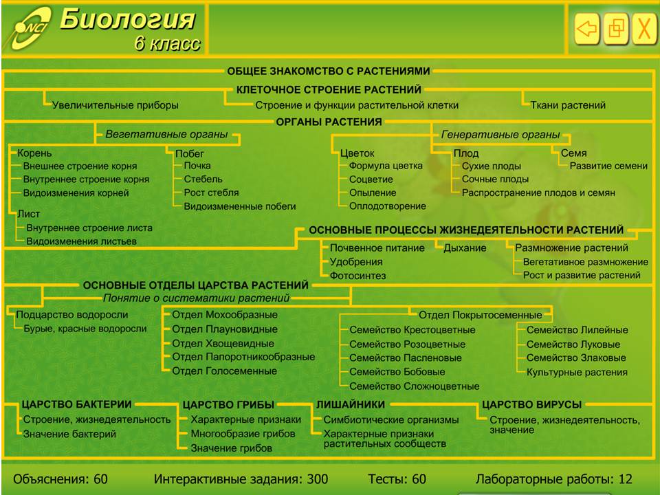 Биология 6 класс — изображение 2