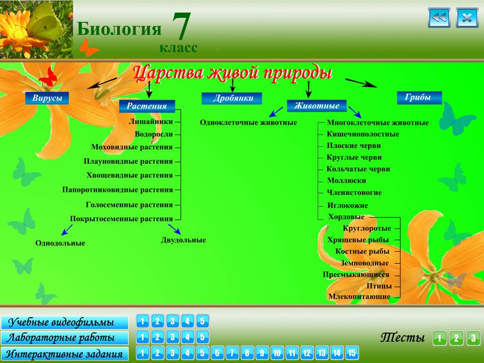 Биология 7 класс — изображение 2