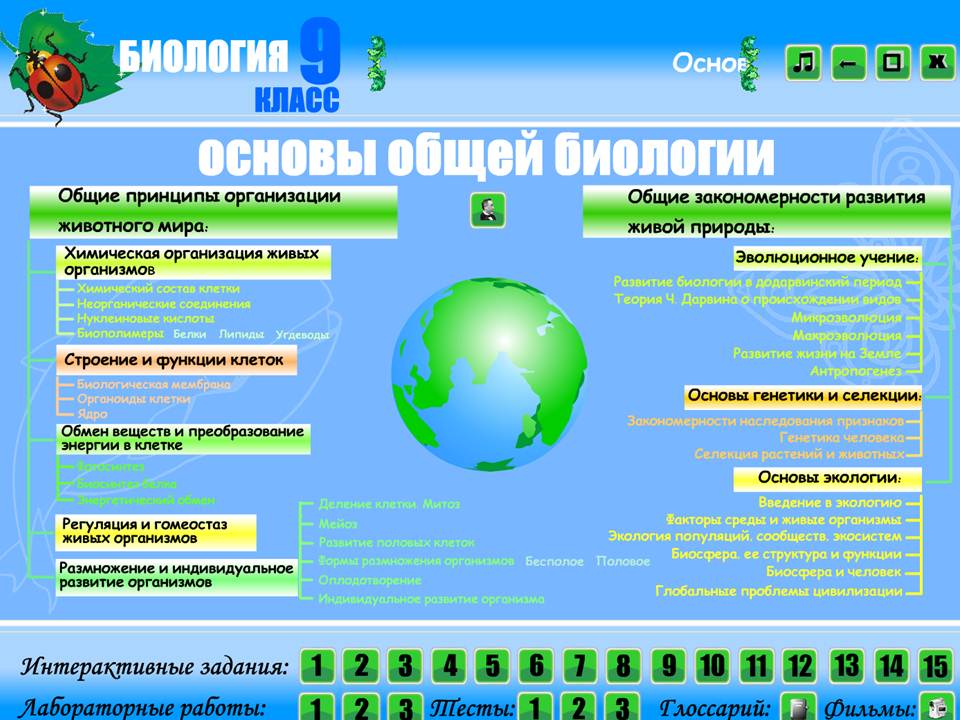 Биология 9 класс — изображение 2