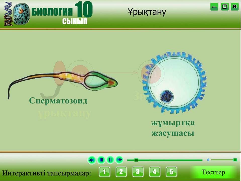 Биология 10 сынып — изображение 3