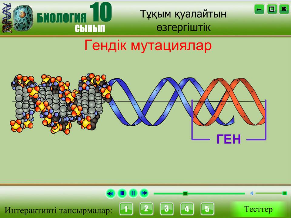 Биология 10 сынып — изображение 4