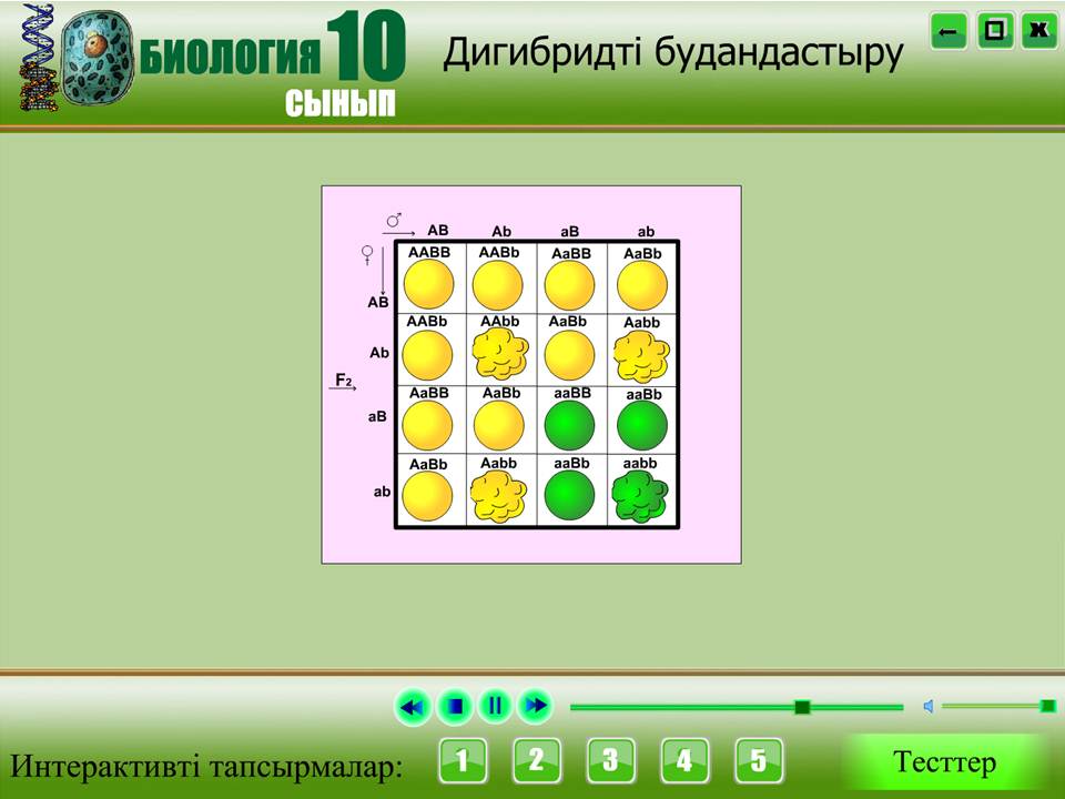 Биология 10 сынып — изображение 5