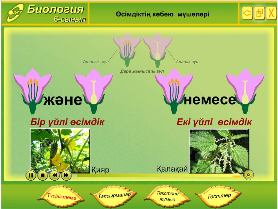 Биология 6 сынып — изображение 4