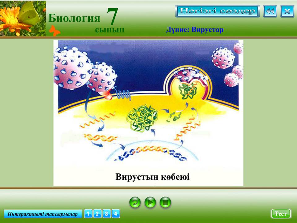 Биология 7 сынып — изображение 4