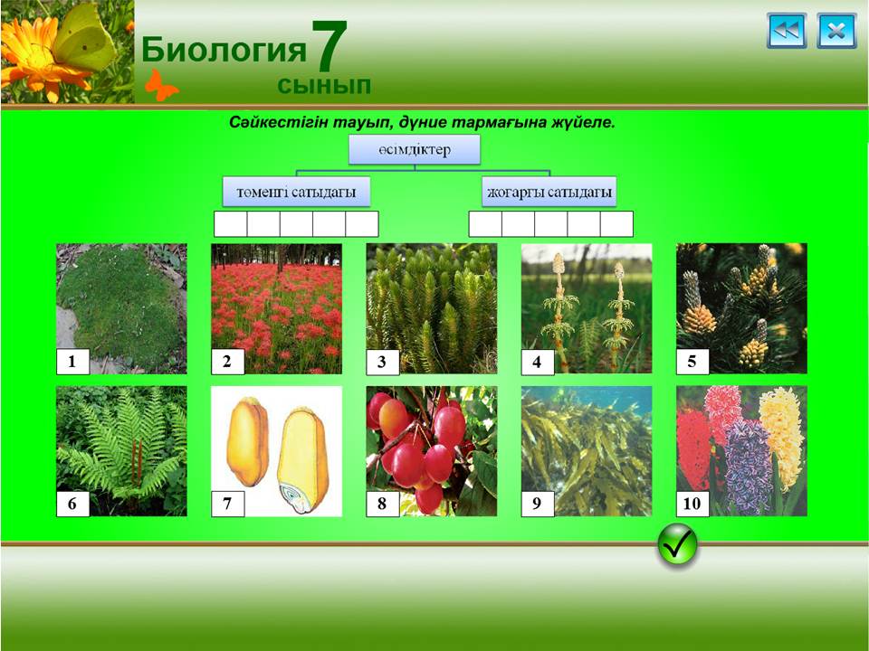 Биология 7 сынып — изображение 5